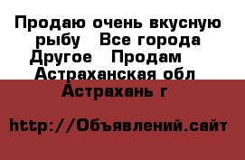 Продаю очень вкусную рыбу - Все города Другое » Продам   . Астраханская обл.,Астрахань г.